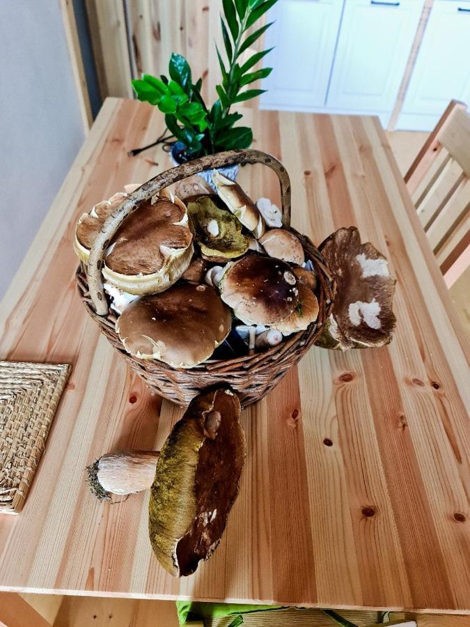 Chata Zorka Opařany Kültér fotó